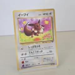 ポケモンカード イーブイ 旧裏