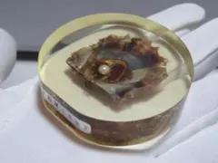ミキモト真珠島 海女の島 キーホルダー - メルカリ