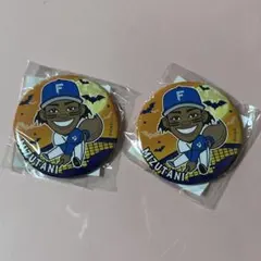 Item thumbnail for item 649fa972-93c6-49cc-b92f-8b8973044bab