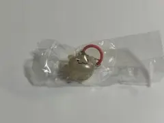 Treasure TRUZ めじるしアクセサリー RURU