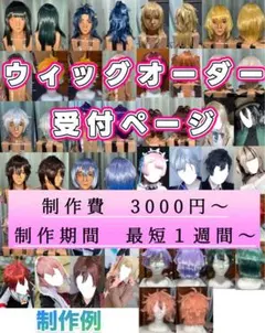 【 制作費3000〜 】コスプレウィッグオーダー受付ページ