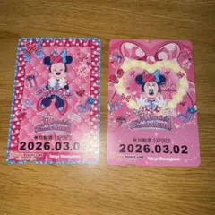 ディズニー フリーきっぷ リゾートライン ミニーのファンダーランド 2枚セット①
