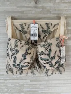 F70Mトリンプ チャーミングラマースリムライン モダンフリージア ブラショーツ