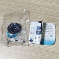 ネイチャーテクニカラー４００　イロワケイルカ