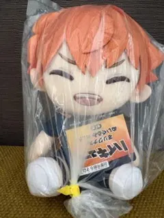 ハイキュー！！オリジナルぬいぐるみvol.5 日向翔陽