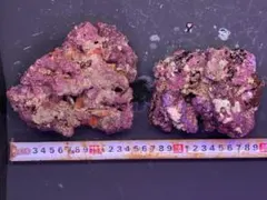 kazu様 リクエスト 5点 まとめ商品