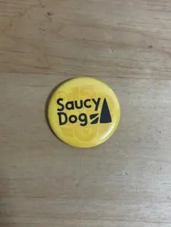 レディクレ 2024 Saucy Dog 缶バッジ