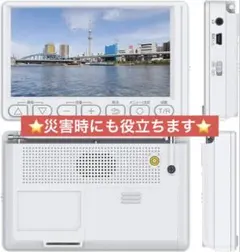 Item thumbnail for item 92d6c797-0b92-4b37-bd9b-9557631c79f2