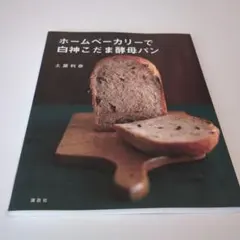 Item thumbnail for item 13a55912-d494-4a59-99e5-8b02b1f4f752