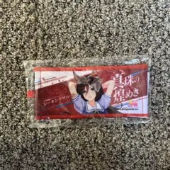 Item thumbnail for item d070139d-af0f-41d0-afa1-19f526e8a3f1