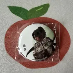 2025年最新】三國無双 origins 缶バッジの人気アイテム - メルカリ