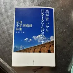 空が青いから白をえらんだのです 奈良少年刑務所詩集