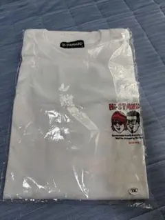 Hi-STANDARD Tシャツ グレー XLサイズ ラグランTシャツ - メルカリ