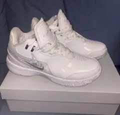 NIKE AIR JORDAN ズームレブロン　swag drip yoko