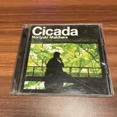 槇原敬之/Cicada