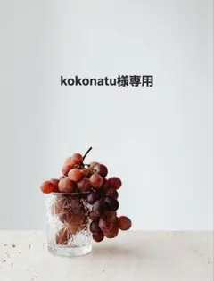 kokonatu様専用 ①