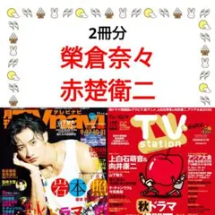 榮倉奈々 赤楚衛二 月刊TVnavi TVstation 切り抜き
