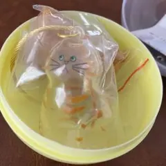 うちの子のけだまだま 猫 茶トラ