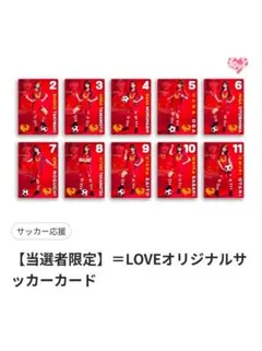 新品未使用=LOVE マクドナルドオリジナルサッカーカード当選者限定10枚