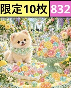 限定10枚！　レアパネル生地　無くなり次第終了です　6犬種パネル