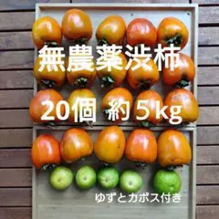 お値下げ 渋柿　干し柿用 大きめ20個 5kg ゆずとカボス付き　全て無農薬