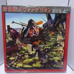 新世紀エヴァンゲリオン LD BOX 0:6〜0:9 帯付 解説書付