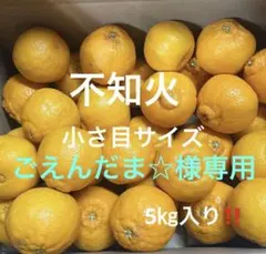 有田みかん　純宝丸　不知火 小さ目サイズ5㎏入り