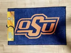 Item thumbnail for item 1f0606e8-8e23-44d7-8d32-a169640e7cbe