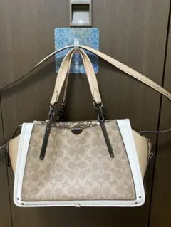お値下げしました‼️COACH 2way ショルダーバッグ パイソン柄 - メルカリ
