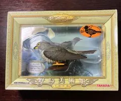 小鳥日和　野鳥美術館　カワセミ　TAKARA　タカラ　YB-006 Amazon.co.jp: TAKARA 小鳥日和 野鳥の森 カワセミ ブリスター割れ注意