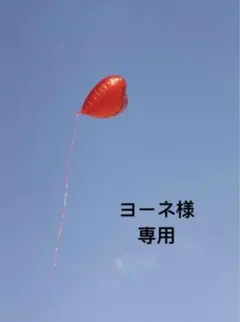 東方project コスプレ衣装