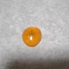 ポケットモンスター　レトロ　ひみつのコハク　フィギュア