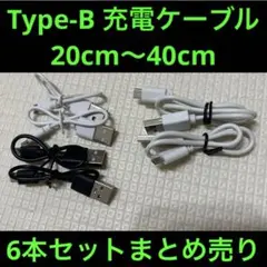 Type-B 充電器 20cm〜40cm まとめ売り6本