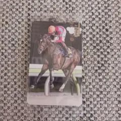 まねき馬倶楽部 ラムジェット No.2573 競馬カード