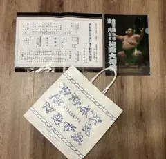 【貴景勝（湊川親方）断髪式　来場者特別記念品　パンフレット&クリアファイル】