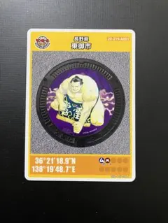 Item thumbnail for item 36477ee4-8be0-4008-8212-110a8c29910e