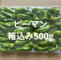 ピーマン 箱込み500g ネコポスのサムネイル