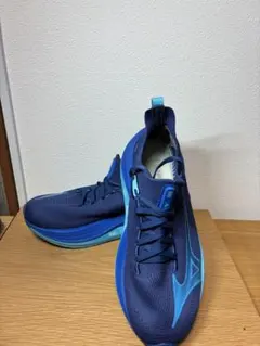 25.5】MIZUNO NEO VISTA3（5kmほど使用） - メルカリ