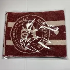 【新品・未開封】TWICE this is for 国立競技場　マフラータオル