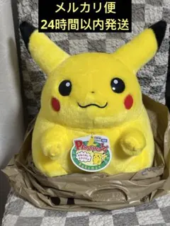 ポケモン30周年記念おかえり!ピカチュウ1/1