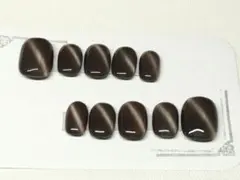 ダークブラウン マグネット ストライプ ネイルチップ 10個セット