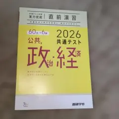 2026 共通テスト 公共・政治・経済
