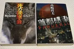 海外ミステリー・パニック小説 文庫本2冊セット