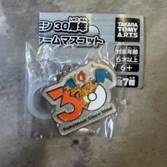 ポケモン 30周年 メタルチャームマスコット リザードン