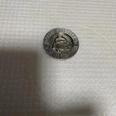 ポケモンバトルコインフシギダネのサムネイル