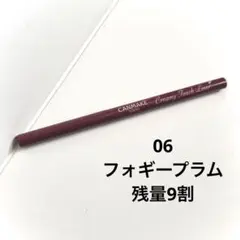 キャンメイク クリーミータッチライナー / No.06 フォギープラム