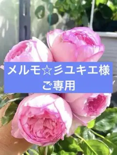 メルモ☆彡ユキエ様 リクエスト 3点 まとめ商品