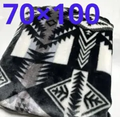 オルテガ柄　シルクマイヤー　ブランケット　毛布　膝掛け　ネイティブ