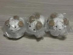 てのひらわんこのぬいぐるみ ガチャ トイプードル