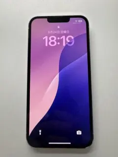 Apple iPhone 13 Pro 256GB シルバー 本体